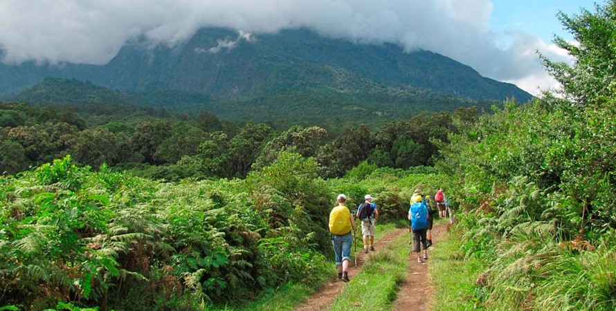 Meru-Usa Forest Reserve
