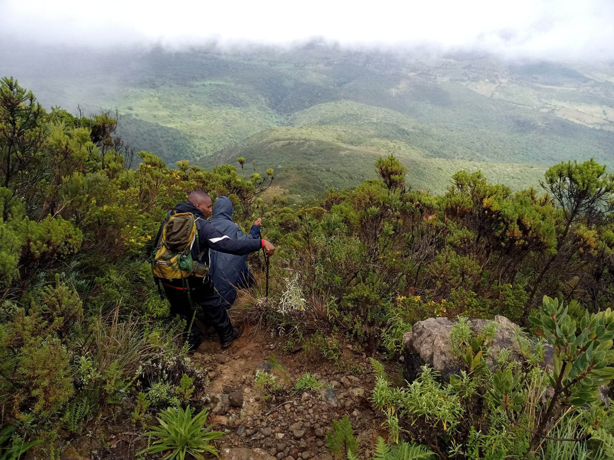 Mount Hanang Nature Forest Reserve