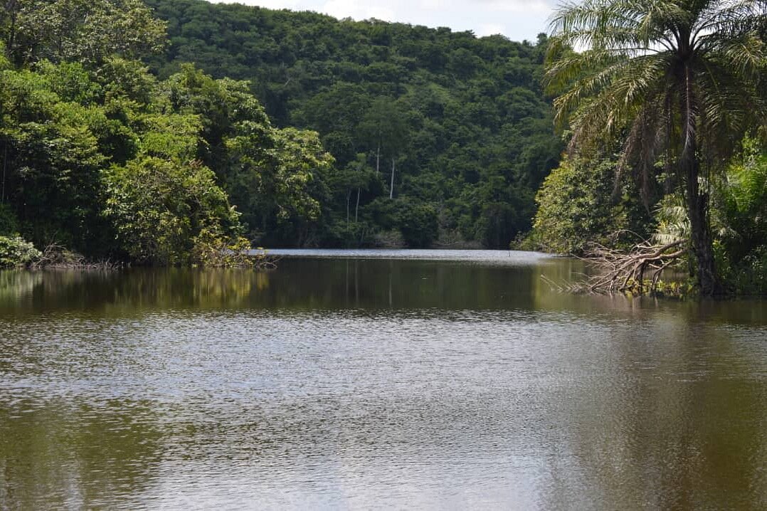 Pugu Hills Nature Forest Reserve