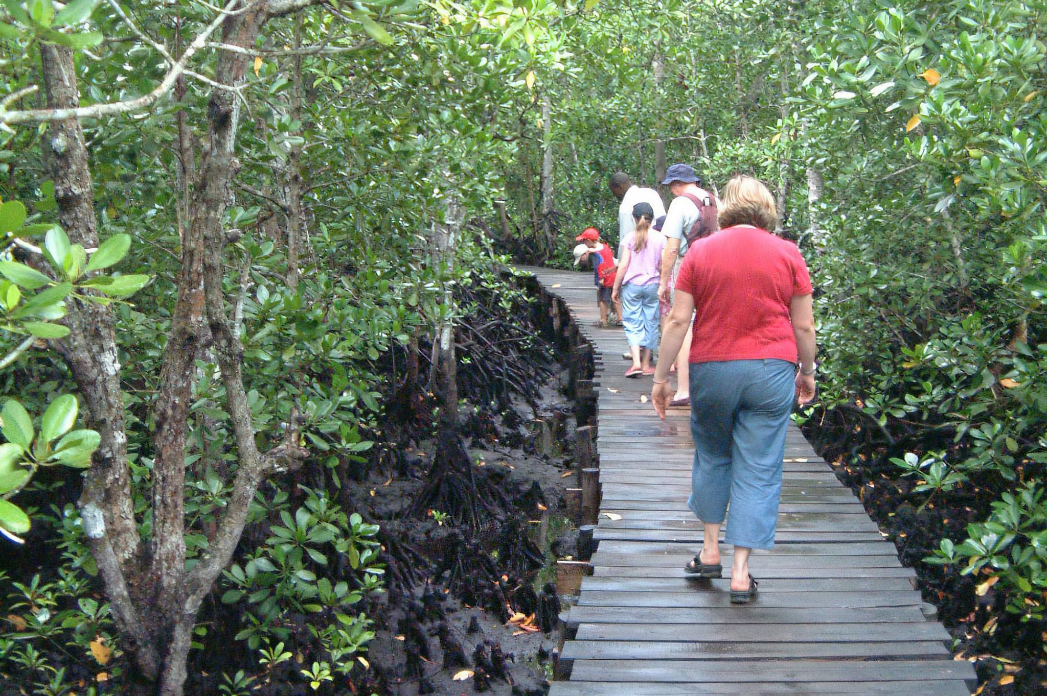 Jozani-Chwaka Bay National Park