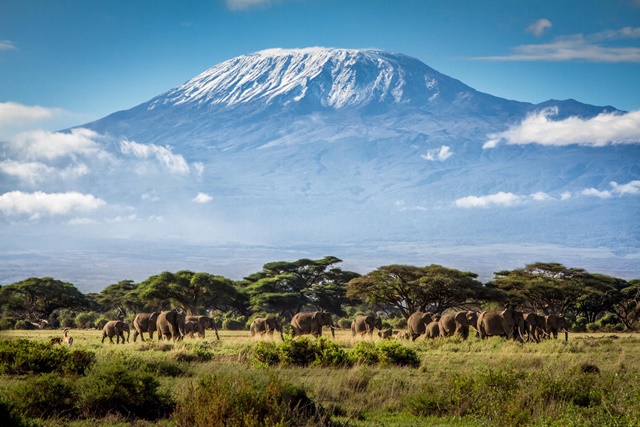 West Kilimanjaro Forest Reserve