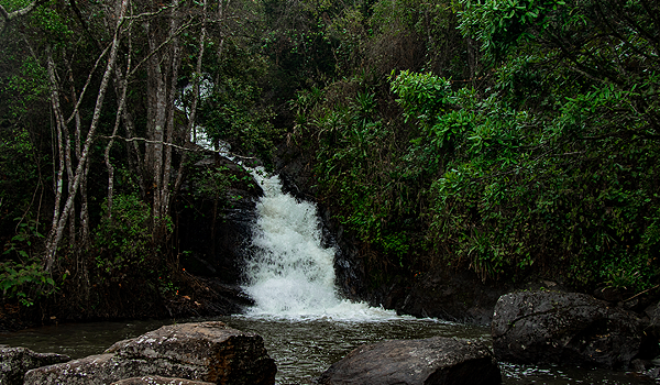 Kilombero Nature Forest Reserve